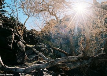 “Shkretëtira Mojave” – fotografi kaloi 16 vite për të kapur imazhet që vështirë t’i keni parë ndonjëherë