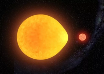 Ylli në formë loti, një formë e tillë ka mahnitur shkencëtarët