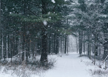 Edhe sot mot pranveror, nga nesër nisin reshjet e borës dhe ulen temperaturat