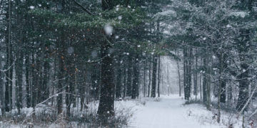 Edhe sot mot pranveror, nga nesër nisin reshjet e borës dhe ulen temperaturat