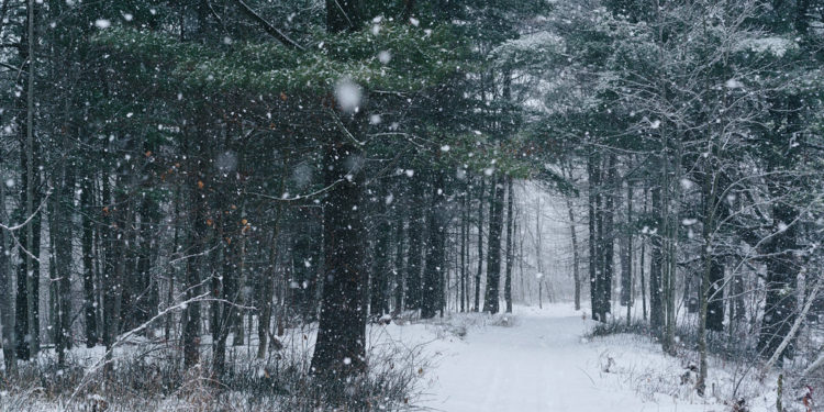 Edhe sot mot pranveror, nga nesër nisin reshjet e borës dhe ulen temperaturat