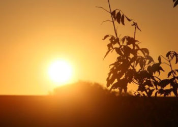 Moti për ditën e sotme, temperaturat shënojnë ngritje