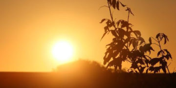 Moti për ditën e sotme, temperaturat shënojnë ngritje