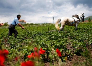 Ministria e Bujqësisë ua shtynë fermerëve afatin për implementim të projekteve të granteve