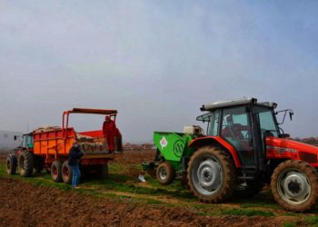 Nisin mbjelljet pranverore në Kosovë