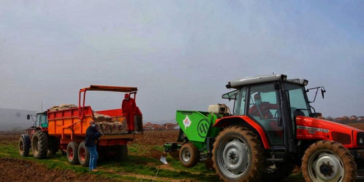 Nisin mbjelljet pranverore në Kosovë