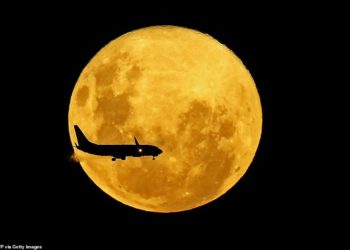 Superhëna e “krimbave” parë nga çdo cep i botës