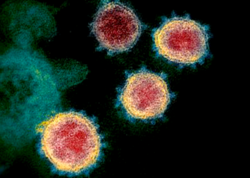 Një dritë shprese, tani shkencëtarët thonë se temperaturat e larta e dobësojnë koronavirusin