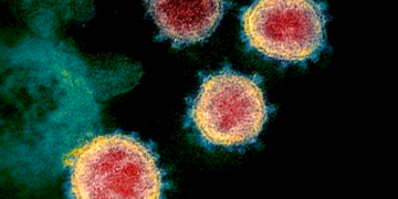 Një dritë shprese, tani shkencëtarët thonë se temperaturat e larta e dobësojnë koronavirusin