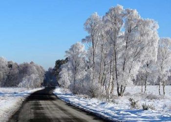 Moti për ditën e sotme