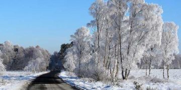 Moti për ditën e sotme