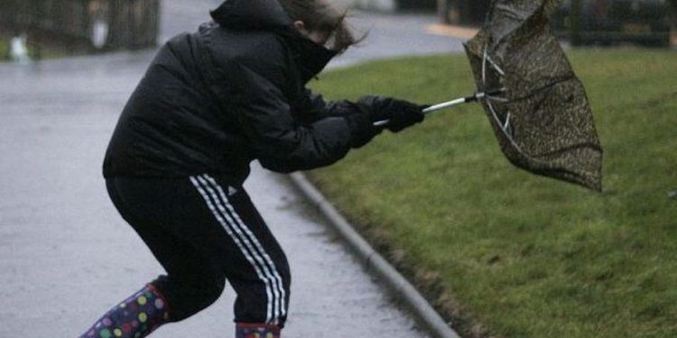 Pse disa njerëz kanë frikë dha era dhe si shpjegohet kjo?