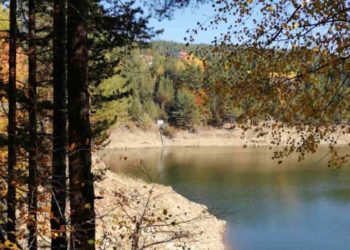 Moti për ditën e sotme