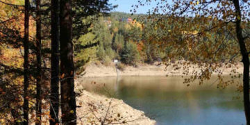 Moti për ditën e sotme