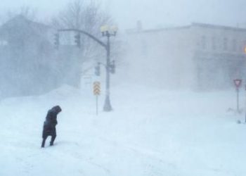 Çka është frika nga bora?