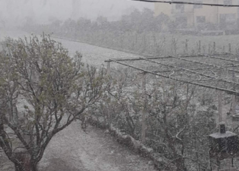 Vazhdon të bie borë në Lezhën bregdetare, lexuesit sjellin pamje