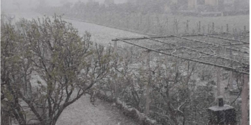 Vazhdon të bie borë në Lezhën bregdetare, lexuesit sjellin pamje