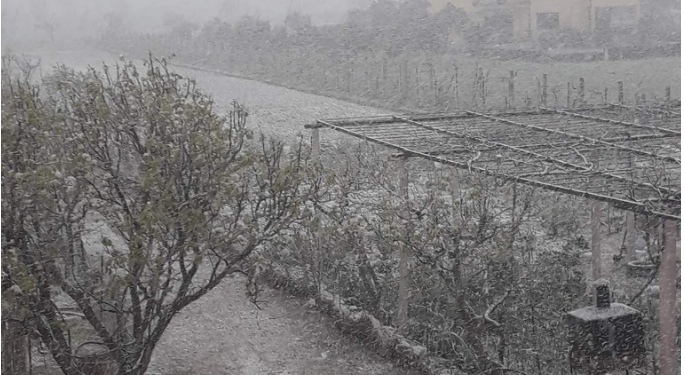 Vazhdon të bie borë në Lezhën bregdetare, lexuesit sjellin pamje