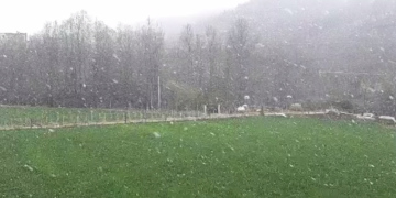 Pamje të bukura vijnë nga Librazhdi i Shqipërisë, bora zbukuron qytetin