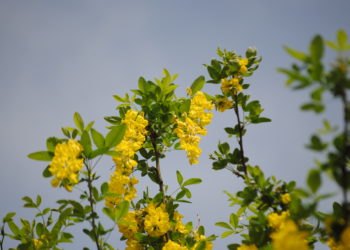 Moti për ditën e sotme