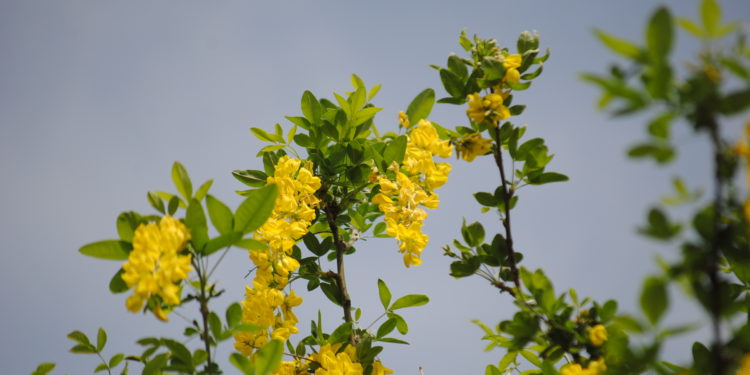 Moti për ditën e sotme