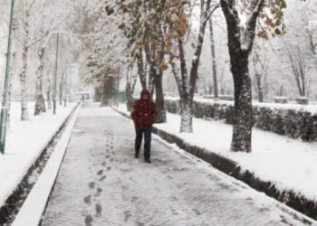 Moti për ditën e sotme