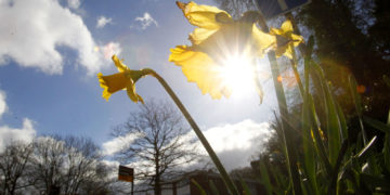 Dy – tri ditë të vërteta pranverore!