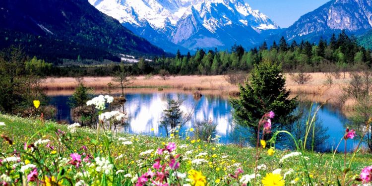 Sot dita e parë e stinës më të bukur, pranverës!