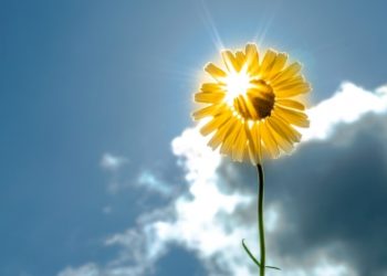 Sot edhe më nxehtë