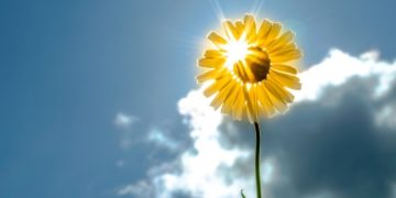 Sot edhe më nxehtë