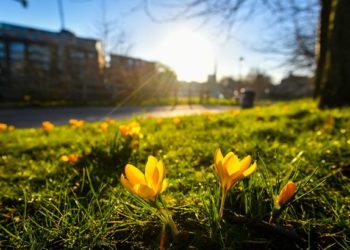 Edhe sot mot me vranësira, nga nesër nis moti pranveror