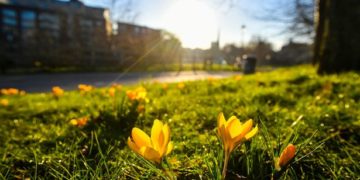 Edhe sot mot me vranësira, nga nesër nis moti pranveror