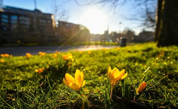 Edhe sot mot me vranësira, nga nesër nis moti pranveror
