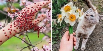 Fotot më interesante përmes së cilave njerëzit tentuan të tregojnë se si duket pranvera në vendin e tyre