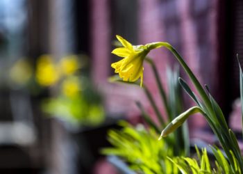 Moti për ditën e sotme – ngrohtë dhe me rreze dielli