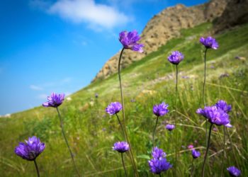 Moti për nesër dhe ditët në vijim (18.04.2020)