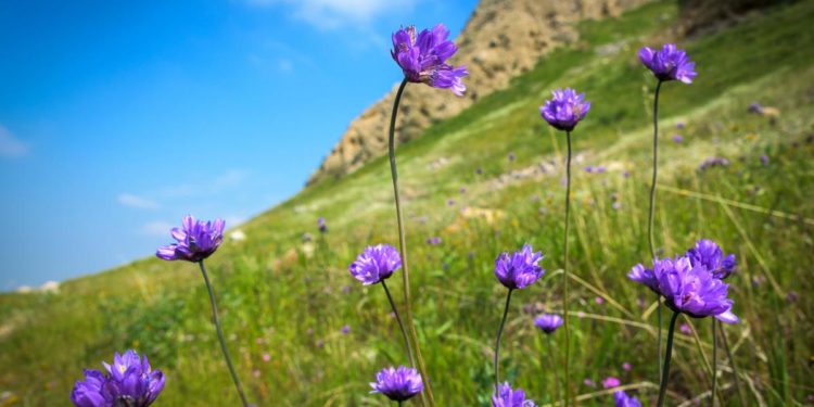 Moti për nesër dhe ditët në vijim (18.04.2020)