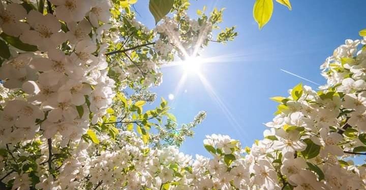 Nga nesër edhe më ngrohtë!