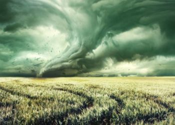 Çka do të thotë kur qelli merr ngjyrë të gjelbër?