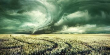 Çka do të thotë kur qelli merr ngjyrë të gjelbër?