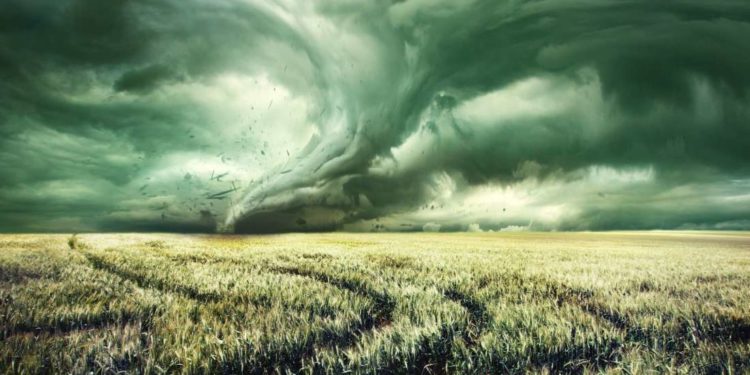 Çka do të thotë kur qelli merr ngjyrë të gjelbër?