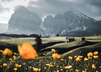 Fotot më interesante përmes së cilave njerëzit tentuan të tregojnë se si duket pranvera në vendin e tyre