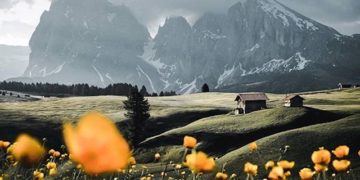 Fotot më interesante përmes së cilave njerëzit tentuan të tregojnë se si duket pranvera në vendin e tyre