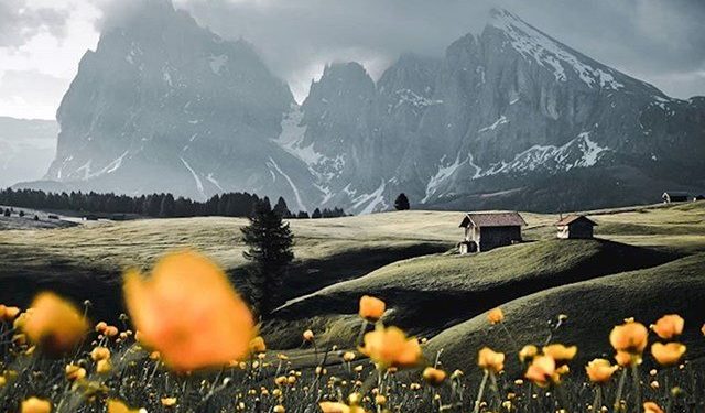 Fotot më interesante përmes së cilave njerëzit tentuan të tregojnë se si duket pranvera në vendin e tyre