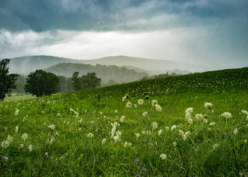 Moti për sot dhe ditët në vazhdim