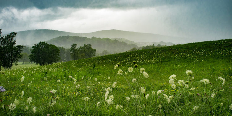 Moti për sot dhe ditët në vazhdim