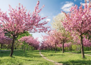 Sot më ngrohtë se dje, nesër më ngrohtë se sot