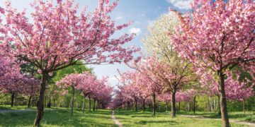 Sot më ngrohtë se dje, nesër më ngrohtë se sot