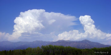 Sot pasdite vende-vende me rrebeshe shiu!