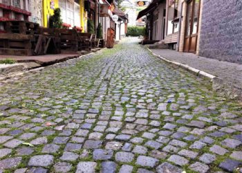 Kalldrëmin e pashkelur në Prizren e mbulon bari